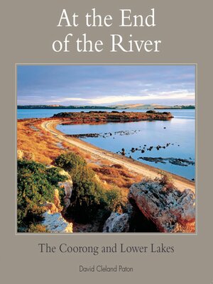 cover image of At the End of the River